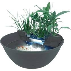 Superfish Mini Pond 30 litres - Mini Pond décoratif Compact pour le jardin, la terrasse et l'intérieur