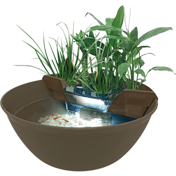 Super Fish Mini Pond 30 Litri - Mini Laghetto Decorativo... 2
