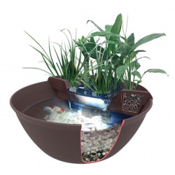 SuperFish Mini Pond 30 Litri - Mini Laghetto Decorativo Compatto per Giardino, Terrazzo e Interni