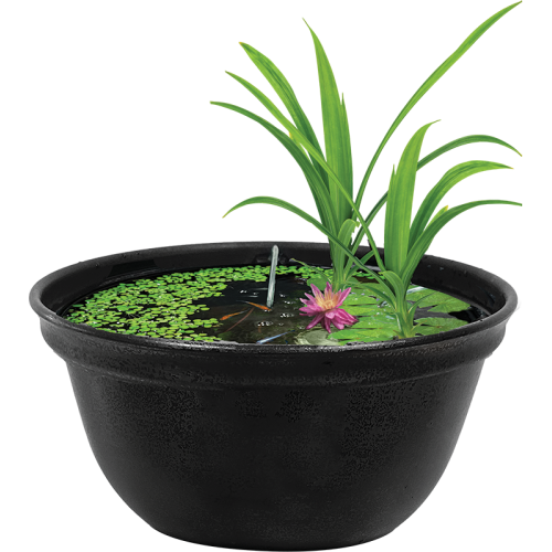 Superfish Medaka Bol 420 - 16 litres Mini étang...