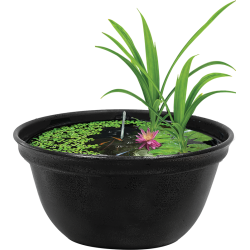 Superfish Medaka Bowl 420 - 16 liters mini pond - Ideal pond for interiors and exteriors