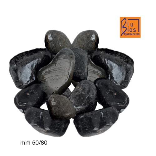Maxi Pabbles Noirs 5 / 8cm - Blu Bios