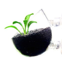 Pot de plante Superfish Large - Pot pour les plantes d'aquarium avec ventouse - Porte plantes acrylique pour Aquascaping 3D