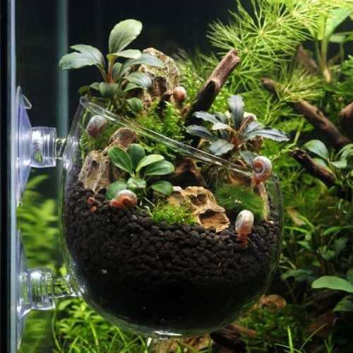 Superfish Plant Pot L Large - Pot for Aquarium...