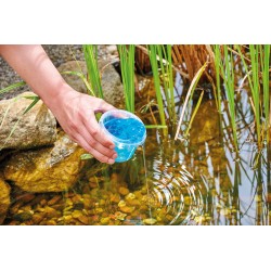 copy of Duo Pack, Qualygae + Bactéries Laghetti - Science aquatique