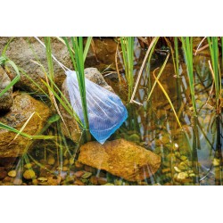 copy of Duo Pack, Qualygae + Laghetti Bacteria - Aquatic Science