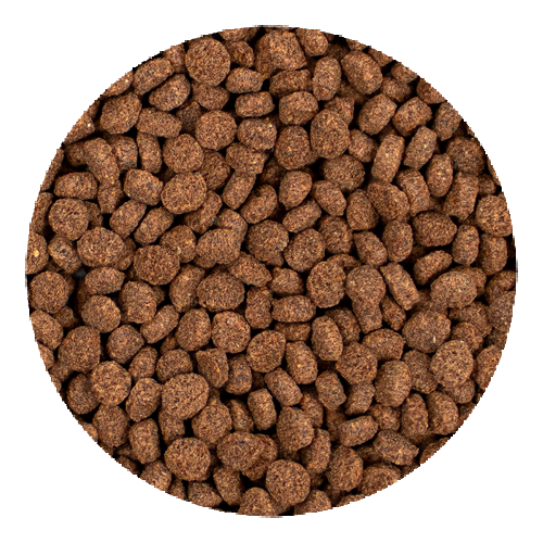 Hikari Tropical Minivore Delite 40gr - Mangime...