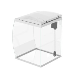 AQPET CurVe 35 - Acquario Panoramico in Vetro da Scrivania 35L con Filtro Integrato, Riscaldatore e LED – Nero e Bianco