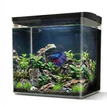 copy of AQPET Kubic 50 Rear - Extra-clear glass tank kit... 2