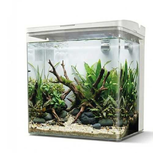 copy of AQPET Kubic 50 Rear - Extra-clear glass...