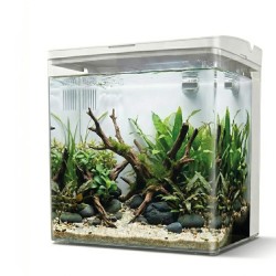 copy of AQPET Kubic 50 Rear - Extra-clear glass tank kit with rear filter and integrated LED light - 50x50x50 cm size