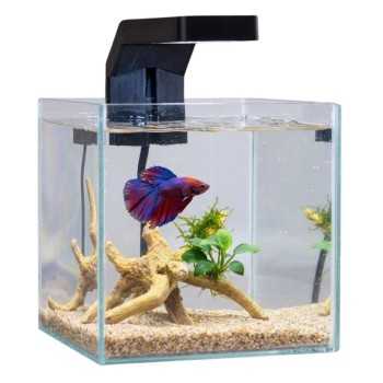 copy of Cyano Nexus Pure 15, Baignoire Aquarium - Askoll