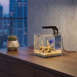 copy of Cyano Nexus Pure 15, Baignoire Aquarium - Askoll