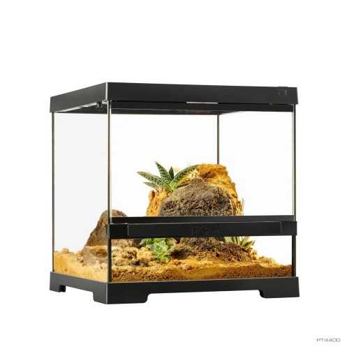 Verre Terrarium Large, Terrarium en verre pour...