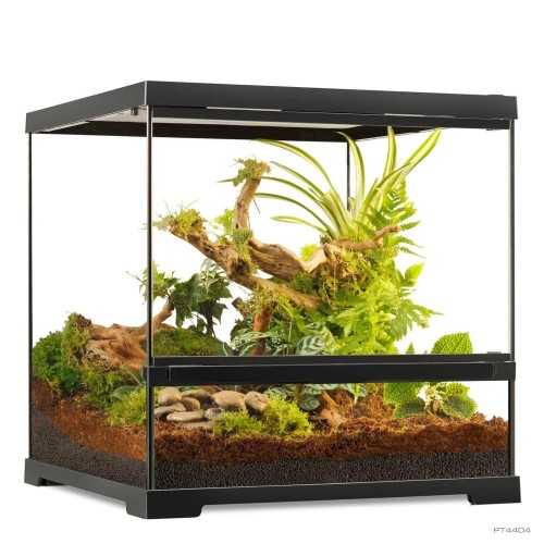 Glass Terrarium Low, glass terrarium for...