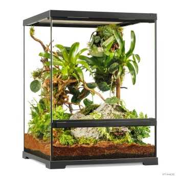 Tiki Terrarium Tall, mini glass terrarium for reptiles -...