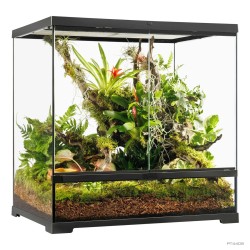 Exo Terra Pro Terrarium Medium Tall 60x45x60 cm - Terrario Verticale Professionale per Rettili, Anfibi e Habitat Bioattivi
