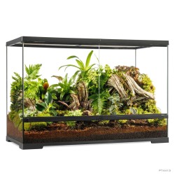 Exo Terra Pro Terrarium Large Tall 90x45x60 cm - Terrario Professionale Verticale per Rettili, Anfibi e Habitat Bioattivi