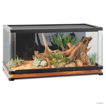 copy of Glass Terrarium Nano, glass terrarium for...