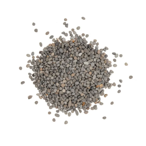 6 sand colors for freshwater aquariums Wild...