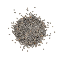 6 sand colors for freshwater aquariums Wild Sand Aqpet