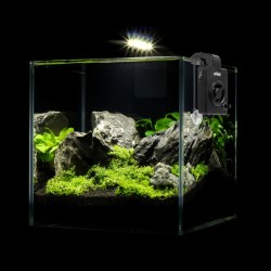 Aqualhter Afan - Ventilateur de refroidissement pour les aquariums jusqu'à 100 litres