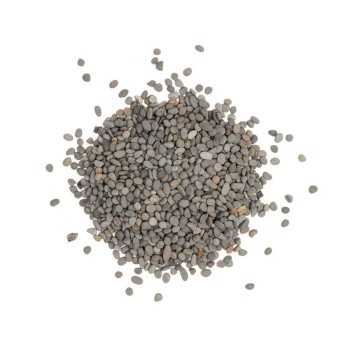 copy of 6 sand colors for freshwater aquariums Wild Sand... 2