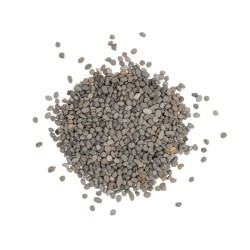 copy of 6 sand colors for freshwater aquariums Wild Sand Aqpet