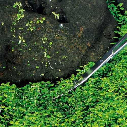copy of Wave Type (wave) scissors 25 cm steel -...