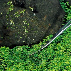 copy of Wave Type (wave) scissors 25 cm steel - Genesi