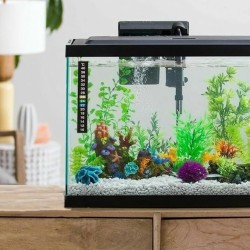 Amtra Termometro Digitale Autoadesivo per Acquario - Lettura Rapida sul Vetro Esterno