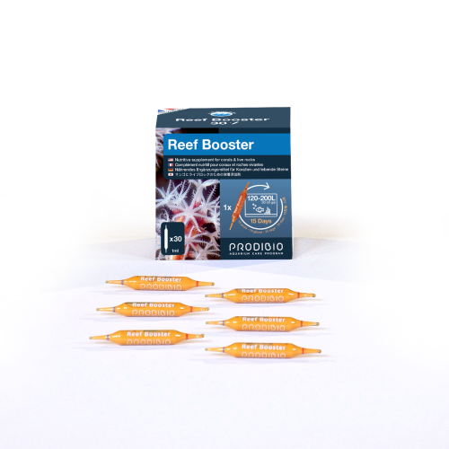 Prodibio Reef Booster 30 Fiale Nutrimento Completo per Coralli SPS LPS Invertebrati e Acquari Reef