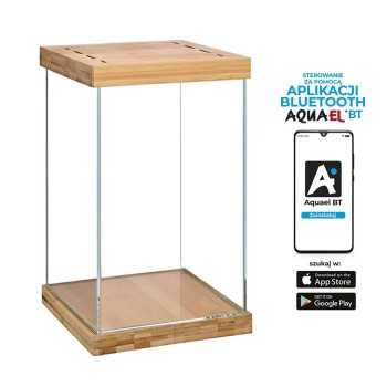 copy of Tiki Terrarium Tall, mini glass terrarium for... 2