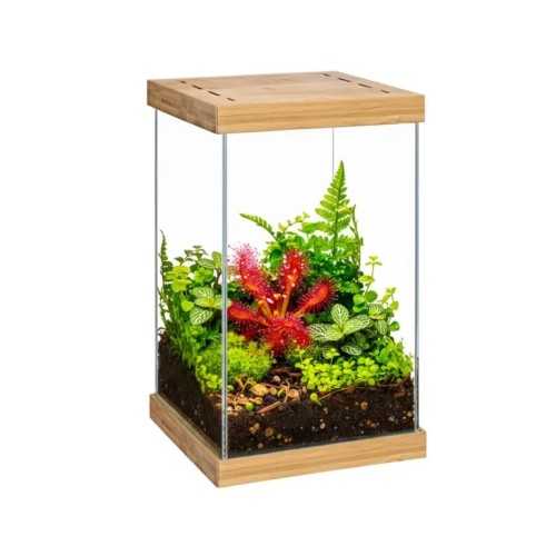 AquaEL Selva Mini Terrario in Vetro Opti con...