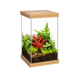 copy of Tiki Terrarium Tall, mini glass terrarium for reptiles - EXO land