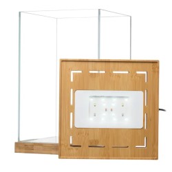 copy of Tiki Terrarium Tall, mini glass terrarium for reptiles - EXO land