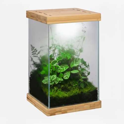 copy of Tiki Terrarium Tall, mini glass...