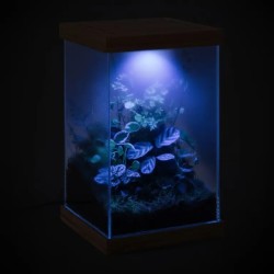 copy of Tiki Terrarium Tall, mini glass terrarium for reptiles - EXO land