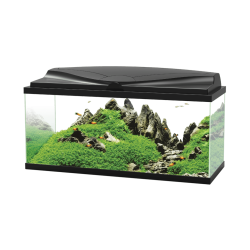 Askoll Ciano Aquarium 80 LED - Acquario Completo 74 Litri con Filtro CF80 e Illuminazione LED - colore Nero