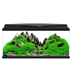 Askoll Ciano Aquarium 80 LED + Filtro CF80 + KIT SPUGNE RICAMBIO - Acquario Completo 74 Litri con Filtro e luce LED - Nero