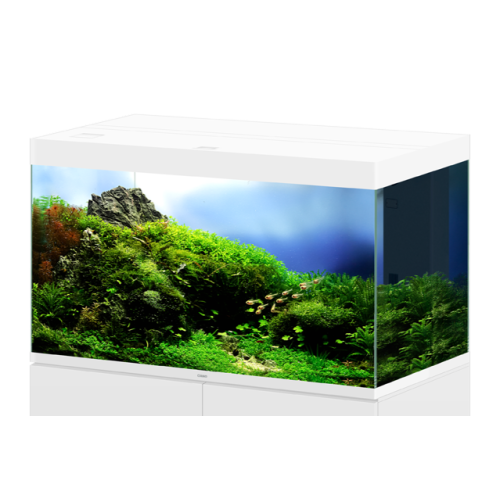 Ciano Emotions PRO 100 Deep - Acquario 300...