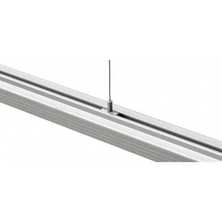Plafoniera Moray a led Ceab per acqua dolce