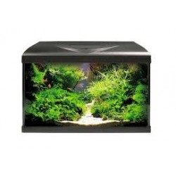 modern tank 50 led amtra 2