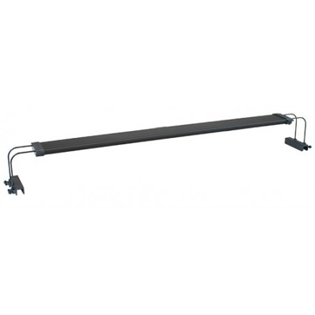 Plafoniera Moray a led Ceab per acqua dolce