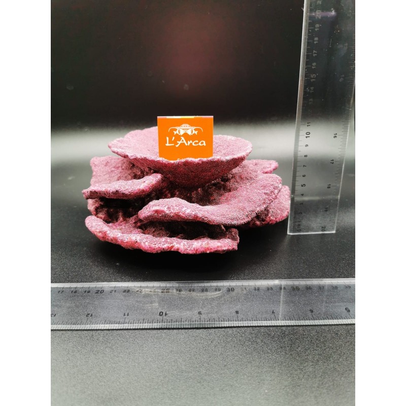 Plates a fiore Real Reef Rock Rocce sintetiche vive