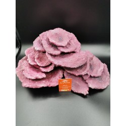 Flowering Plates Real Reef Rock Synthetic rocks live