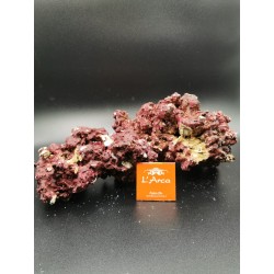  Real Reef Rock Rocce sintetiche vive 2