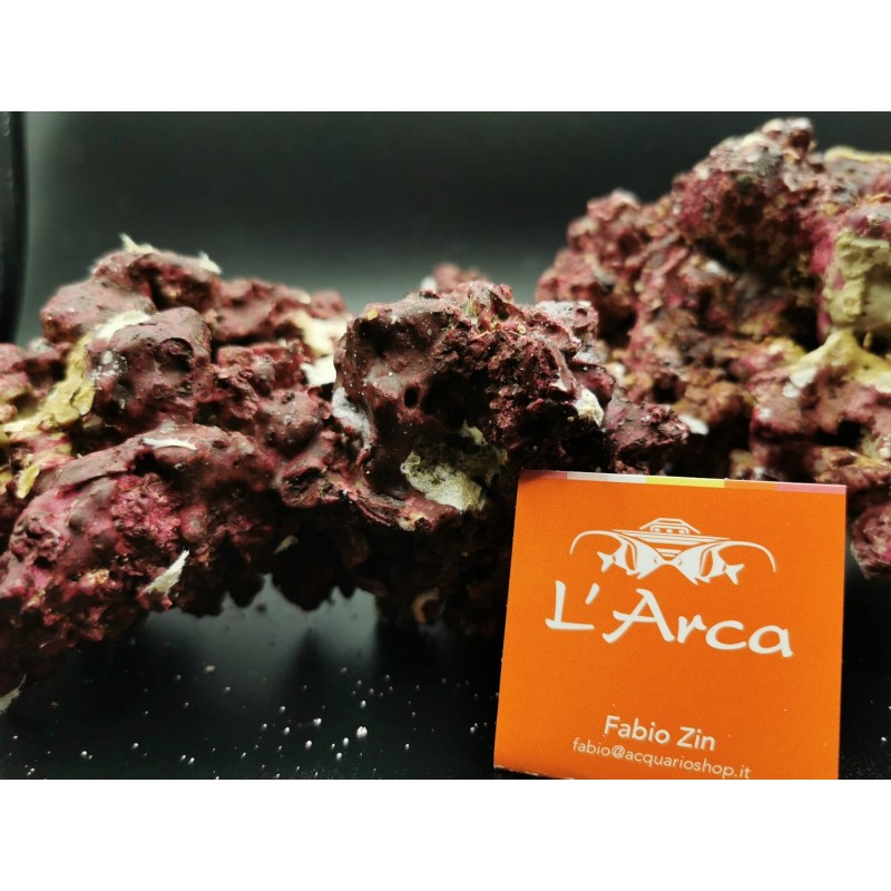 Real Reef Rock Rocce sintetiche vive