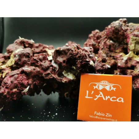  Real Reef Rock Rocce sintetiche vive