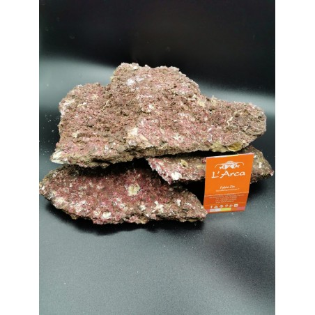  Shelf Real Reef Rock Rocce sintetiche vive